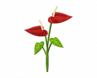 Anthurium Flower Machine Embroidery Design – Daily Embroidery