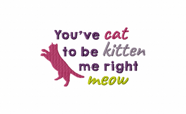 You've Cat To Be Kitten Me Right Meow Stitched Embroidery Design